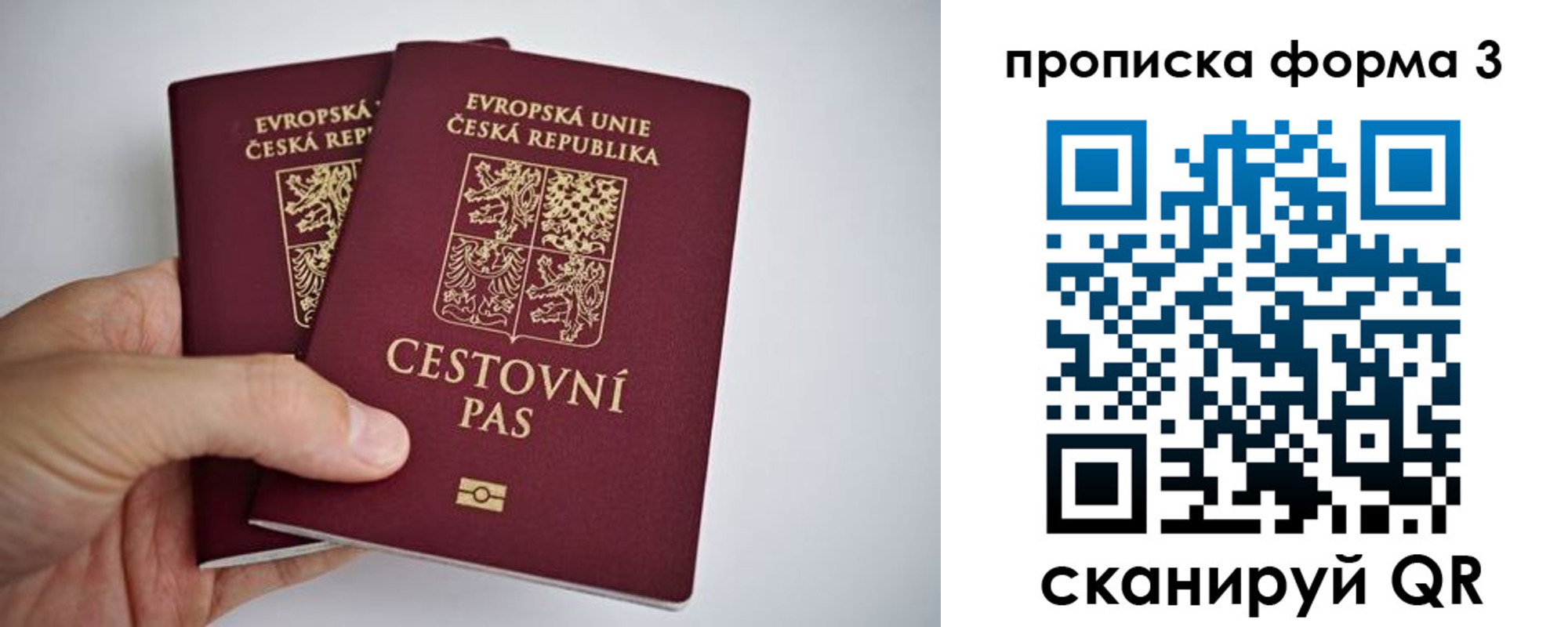 регистрация для школы в Кингисеппе